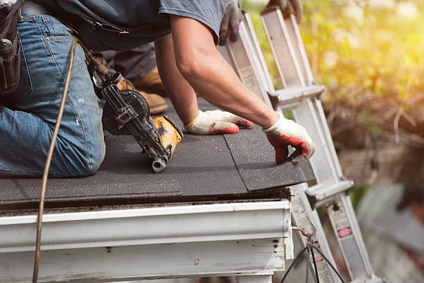 Best Storm Damage Roof Repair  in Bear Creek, AL